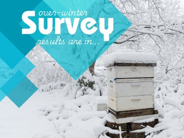Over winter survey results for HiveAlive users