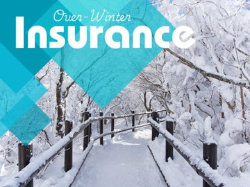 The Ultimate Winter Insurance for Your Bees: HiveAlive Pollen & Fondant Patties