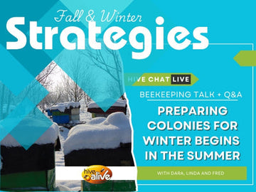 Preparing Colonies for Winter Begins in Summer