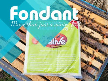 HiveAlive Fondant: More Than Just Winter Feed - Why Every Commercial Beekeeper Should Stock Up