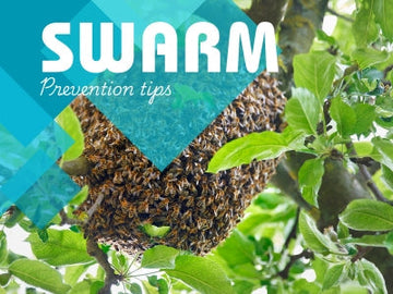 Bee Swarm Prevention with Hive Alive