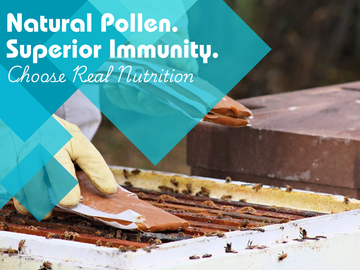 The Hidden Cost of Cheap Feed: Why Quality Matters for Bee Survival