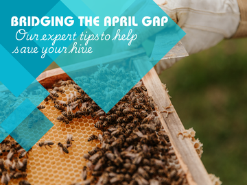 The April Gap: How to Bridge the 