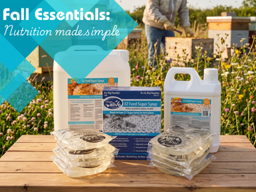 Fall Bee Feeding: When and How to Feed After Harvest
