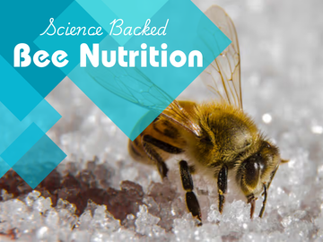 Honey B Healthy vs HiveAlive
