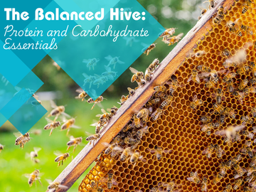 protein for bees
