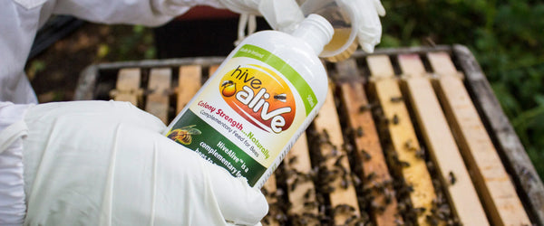 Turn your sugar syrup into super syrup with HiveAlive