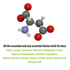 All the essential and non-essential Amino Acids for bees Valine, Leucine, Isoleucine, Threonine, Methionine, Lysine, Arginine, Phenylalanine, Histidine, Tryptophan, Alanine, Cysteine, Tyrosine, Glycine, Proline, Serine, Aspartic acid, Glutamic Acid