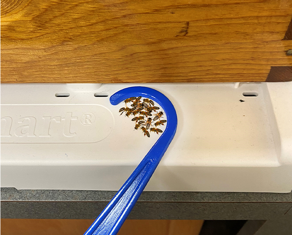 The Ultimate Bottom Board Cleaner