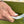 The Ultimate EZ Grip Hive Handle
