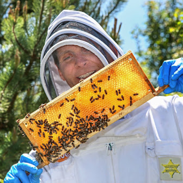 Our Story – HiveAliveBees USA